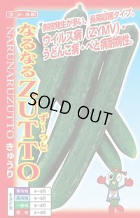 送料無料　[キュウリ]　なるなるZUTTO　17粒　ナント種苗(株)
