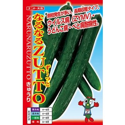 画像1: 送料無料　[キュウリ]　なるなるZUTTO　17粒　ナント種苗(株)