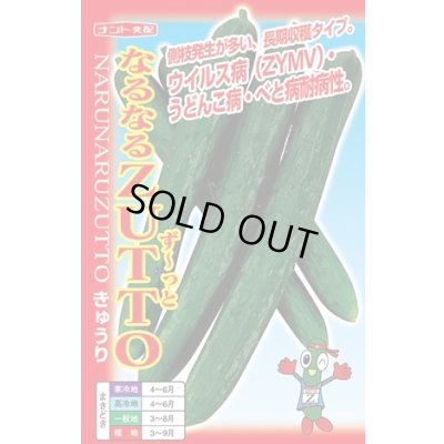 画像1: [キュウリ] なるなるZUTTO 17粒 ナント種苗(株)