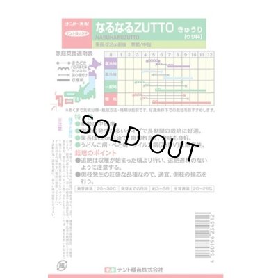 画像2: [キュウリ] なるなるZUTTO 17粒 ナント種苗(株)