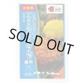 送料無料　花の種　お徳用パック！アフリカンマリーゴールド　高性大輪混合　タキイ種苗　NL500