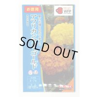 送料無料　花の種　お徳用パック！アフリカンマリーゴールド　高性大輪混合　タキイ種苗　NL500
