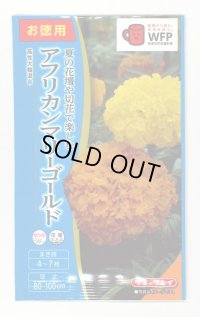送料無料　花の種　お徳用パック！アフリカンマリーゴールド　高性大輪混合　タキイ種苗　NL500