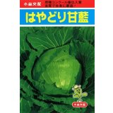 送料無料　[キャベツ]　はやどり　20ml　小林種苗（株）