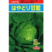 送料無料　[キャベツ]　はやどり　20ml　小林種苗（株）