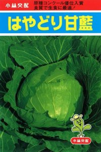 送料無料　[キャベツ]　はやどり　20ml　小林種苗（株）