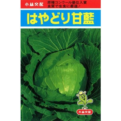 画像1: 送料無料　[キャベツ]　はやどり　20ml　小林種苗（株）
