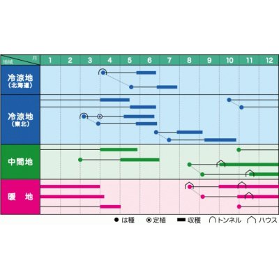 画像3: 送料無料　[えんどう]　ニムラ平成１号　1dl　ヴィルモランみかど（株）