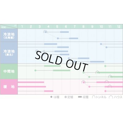 画像3: 送料無料　[えんどう]　ニムラ平成１号　1dl　ヴィルモランみかど（株）