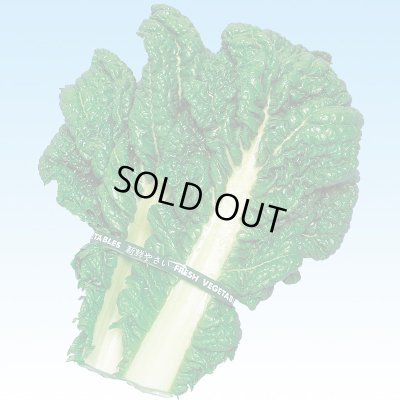 画像2: 送料無料　博多かつを菜　10ml 中原採種場（株）