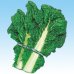 画像2: 送料無料　[葉物]　博多かつを菜　10ml 中原採種場（株） (2)