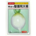 送料無料　[大根]　早太り聖護院大根　8ml　（株）大和農園