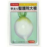 送料無料　[大根]　早太り聖護院大根　8ml　（株）大和農園