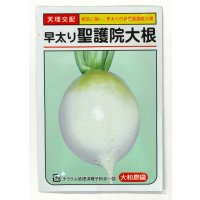 送料無料　[大根]　早太り聖護院大根　8ml　（株）大和農園
