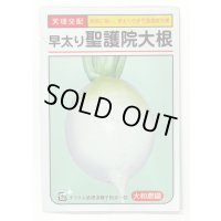 送料無料　[大根]　早太り聖護院大根　8ml　（株）大和農園