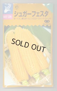 送料無料　[とうもろこし]　シュガーフェスタ　200粒　中原採種場（株）