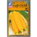 画像1: 送料無料　[とうもろこし]　シュガーフェスタ　200粒　中原採種場（株） (1)