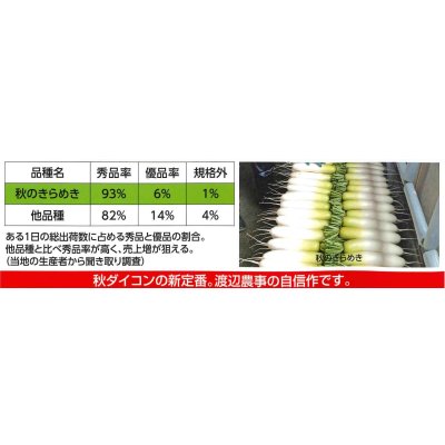 画像3: 送料無料　大根　秋のきらめき　コート5千粒　渡辺農事（株）