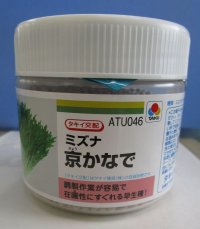 送料無料　[葉物]　水菜　京かなで　ペレット5千粒　タキイ種苗(株)