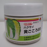 送料無料　[白菜]　黄ごころ85　ペレット5千粒　タキイ種苗(株)