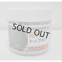 送料無料　[ブロッコリー]　トップギア　5000粒　ペレット種子　タキイ種苗(株)