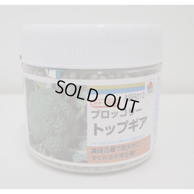 画像1: 送料無料　[ブロッコリー]　トップギア　5000粒　ペレット種子　タキイ種苗(株)