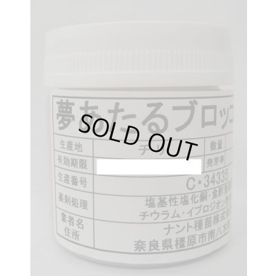 画像1: 送料無料　[ブロッコリー]　夢あたるコート1000粒 ナント種苗（株）