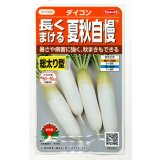 送料無料　[大根]　夏秋自慢　約125粒　実咲450（203249）　(株)サカタのタネ