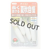 送料無料　[大根]　夏秋自慢　約140粒　実咲450（203249）　(株)サカタのタネ