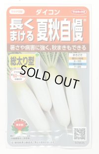 送料無料　[大根]　夏秋自慢　約140粒　実咲450（203249）　(株)サカタのタネ