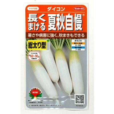 画像1: 送料無料　[大根]　夏秋自慢　約125粒　実咲450（203249）　(株)サカタのタネ