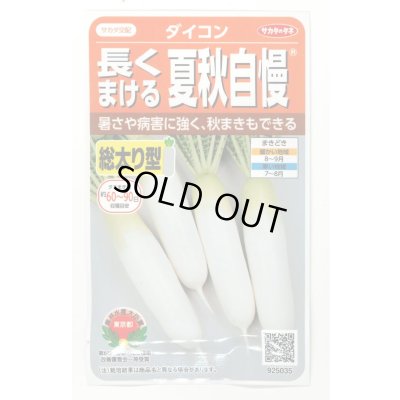 画像1: 送料無料　[大根]　夏秋自慢　約140粒　実咲450（203249）　(株)サカタのタネ