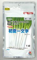 送料無料　[ねぎ]　初夏一文字　1dl　タキイ種苗
