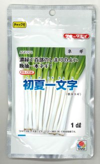 送料無料　[ねぎ]　初夏一文字　1dl　タキイ種苗