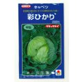 野菜種　キャベツ　彩ひかり　2000粒　タキイ種苗(株)