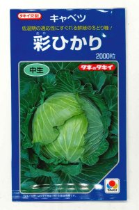 野菜種　キャベツ　彩ひかり　2000粒　タキイ種苗(株)