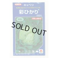 野菜種　キャベツ　彩ひかり　2000粒　タキイ種苗(株)