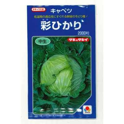 画像1: 野菜種　キャベツ　彩ひかり　2000粒　タキイ種苗(株)