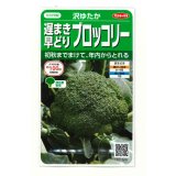 送料無料　[ブロッコリー]　沢ゆたか（約100粒）　(株)サカタのタネ　実咲450（104969）
