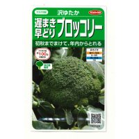 送料無料　[ブロッコリー]　沢ゆたか（約100粒）　(株)サカタのタネ　実咲450（104969）