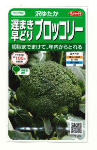 送料無料　[ブロッコリー]　沢ゆたか（約100粒）　(株)サカタのタネ　実咲450（104969）