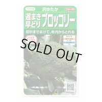 送料無料　[ブロッコリー]　沢ゆたか（約100粒）　(株)サカタのタネ　実咲450（104969）