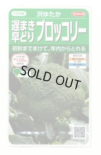 送料無料　[ブロッコリー]　沢ゆたか（約100粒）　(株)サカタのタネ　実咲450（104969）
