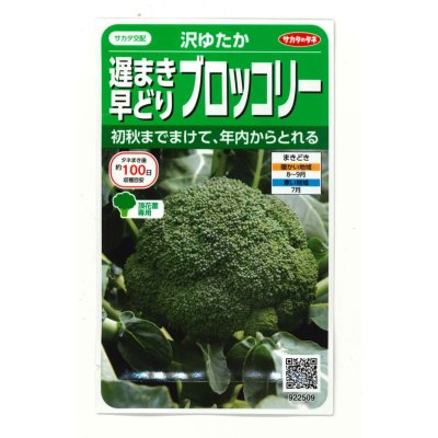 画像1: 送料無料　[ブロッコリー]　沢ゆたか（約100粒）　(株)サカタのタネ　実咲450（104969）
