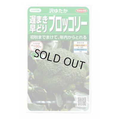 画像1: 送料無料　[ブロッコリー]　沢ゆたか（約100粒）　(株)サカタのタネ　実咲450（104969）