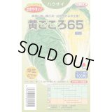 送料無料　[白菜]　黄ごころ65　ペレット100粒　タキイ種苗(株)　