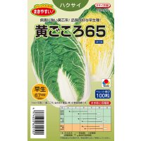 送料無料　[白菜]　黄ごころ65　ペレット100粒　タキイ種苗(株)　
