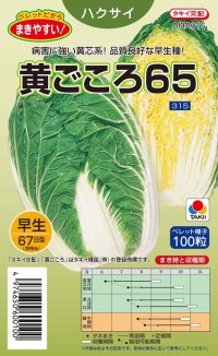 送料無料　[白菜]　黄ごころ65　ペレット100粒　タキイ種苗(株)　