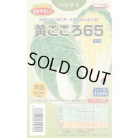 送料無料　[白菜]　黄ごころ65　ペレット100粒　タキイ種苗(株)　