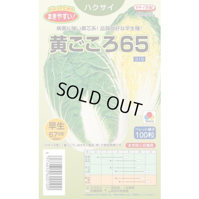 画像1: 送料無料　[白菜]　黄ごころ65　ペレット100粒　タキイ種苗(株)　